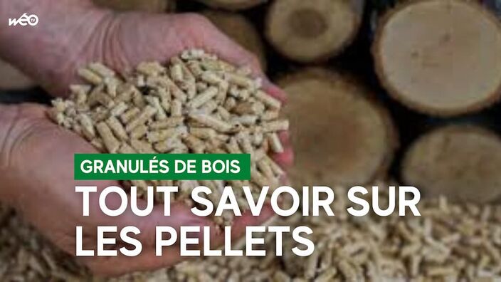 Pellets : tout ce qu'il faut savoir sur ces granulés de bois